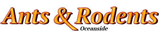 Oceanside Ant Exterminator & Rodent Control Company Logo